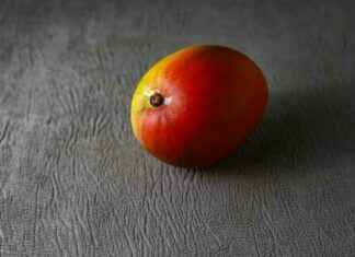 Mango Markets Exploiter’s Crypto Fraud Convictions Overturned – Judge Ruling mango-markets-exploiters-crypto-fraud-convictions-overturned-judge-ruling