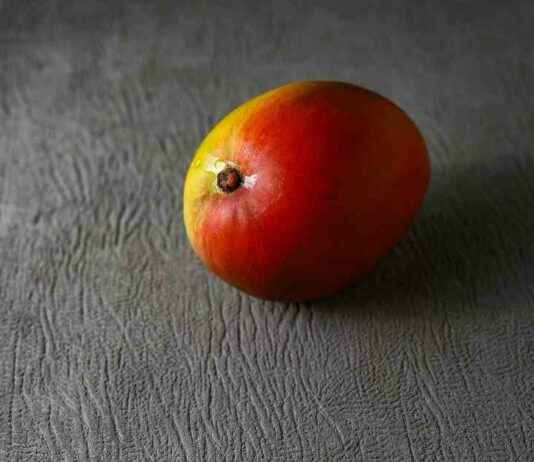 Mango Markets Exploiter’s Crypto Fraud Convictions Overturned – Judge Ruling mango-markets-exploiters-crypto-fraud-convictions-overturned-judge-ruling