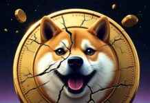 PEPE and FloppyPepe: Leading Meme Coin Activity as DOGE Lags pepe-and-floppypepe-leading-meme-coin-activity-as-doge-lags