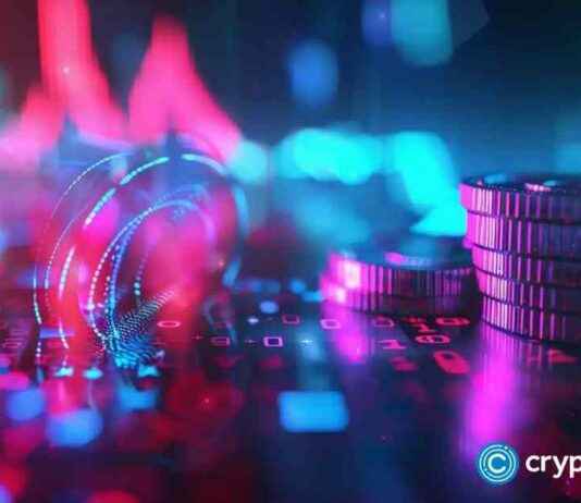 Purps Exchange: Monda DEX Rebrands with CryptoRubic Integration purps-exchange-monda-dex-rebrands-with-cryptorubic-ntegration