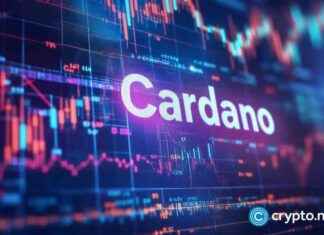 Is Cardano Ready to Surge? Whale Accumulation Signals Price Recovery s-cardano-ready-to-surge-whale-accumulation-signals-price-recovery