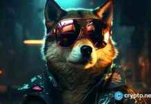 shiba-nu-rally-cools-as-burns-and-bets-fall