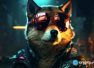 Shiba Inu Rally Cools as Burns and Bets Fall shiba-nu-rally-cools-as-burns-and-bets-fall