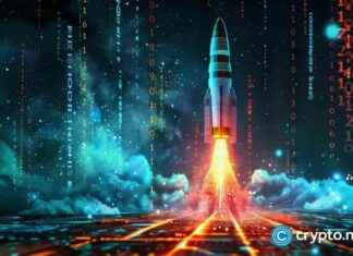 Wall Street Ponke Surpasses 300k in Hours, Aims for 100x Memecoin Status wall-street-ponke-surpasses-300k-in-hours-aims-for-100x-memecoin-status