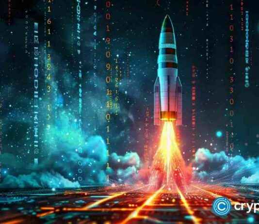 Wall Street Ponke Surpasses 300k in Hours, Aims for 100x Memecoin Status wall-street-ponke-surpasses-300k-in-hours-aims-for-100x-memecoin-status