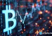 Why Bitwise Disclosed BTC Addresses While Others Don’t why-bitwise-disclosed-btc-addresses-while-others-dont