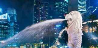 XSGD Stablecoin by StraitsX Launches on XRP Ledger with 8B On-Chain Transactions xsgd-stablecoin-by-straitsx-launches-on-xrp-ledger-with-8b-on-chain-transactions